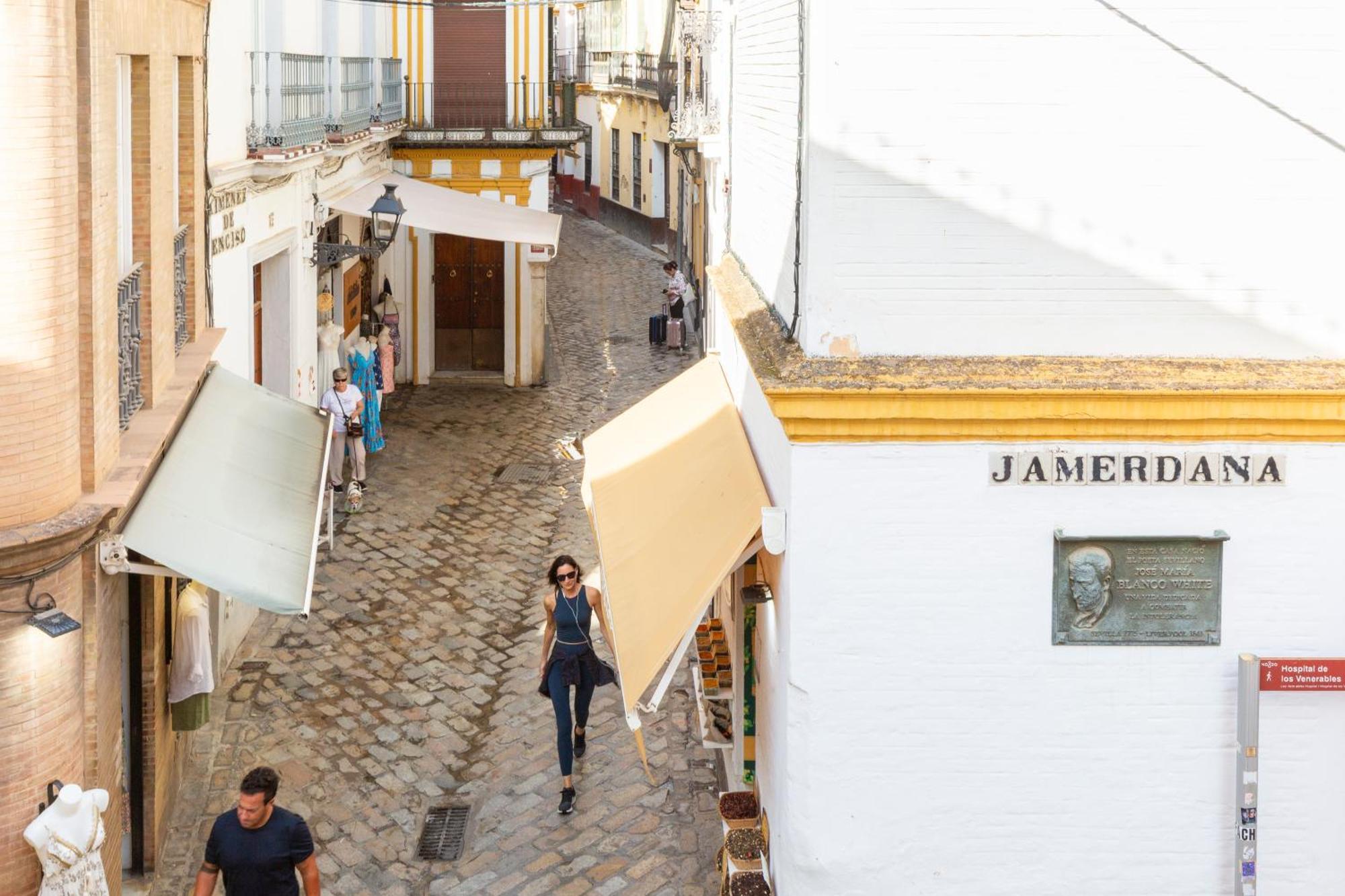 Descubrehome Santa Cruz Private Terrace With Giralda Views 塞维利亚 外观 照片